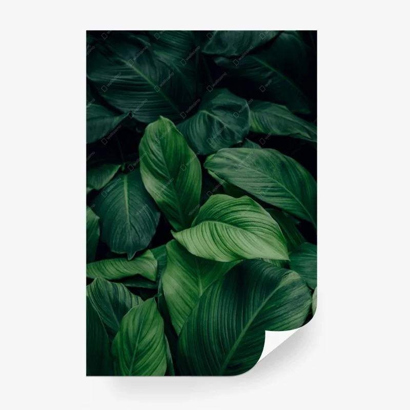 Dschungel – Wallnifity®