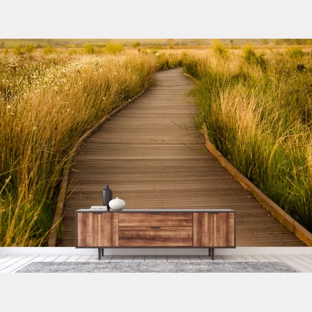 Fototapete sonniger steg durch die wiese – Wallnifity®