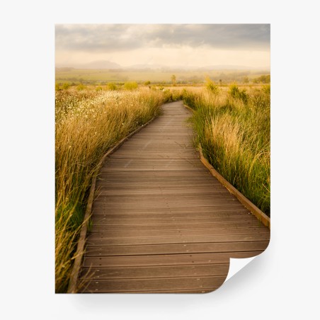 Fototapete sonniger steg durch die wiese – Wallnifity®