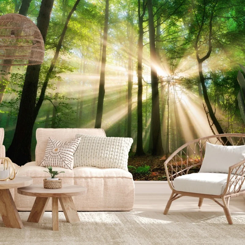 Fototapete sonnenstrahlen im grünen wald – Wallnifity® Fototapete sonnenstrahlen im grünen wald – Wallnifity®