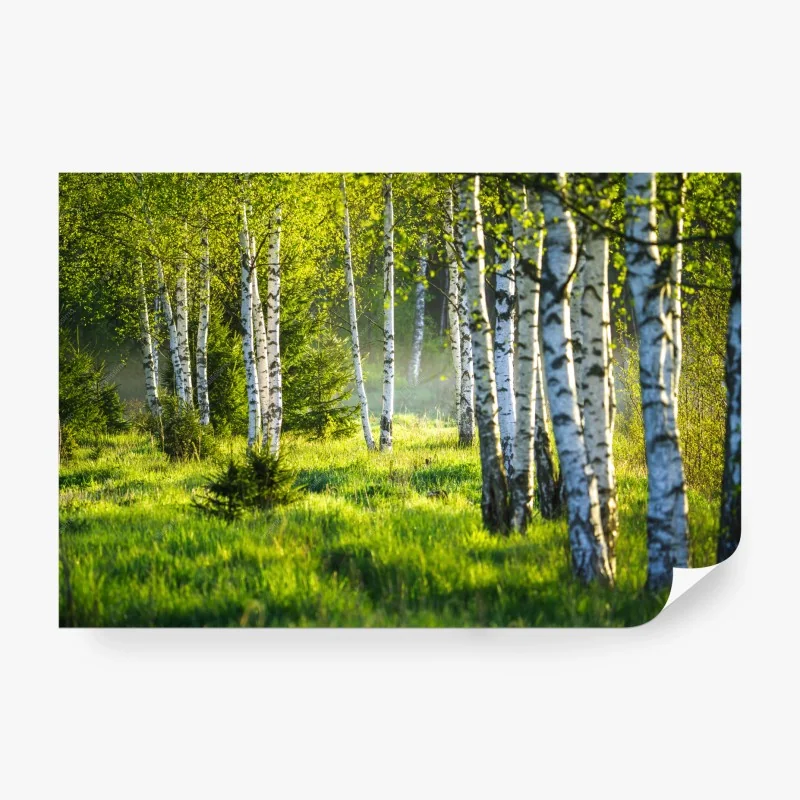 Wälder – Wallnifity®