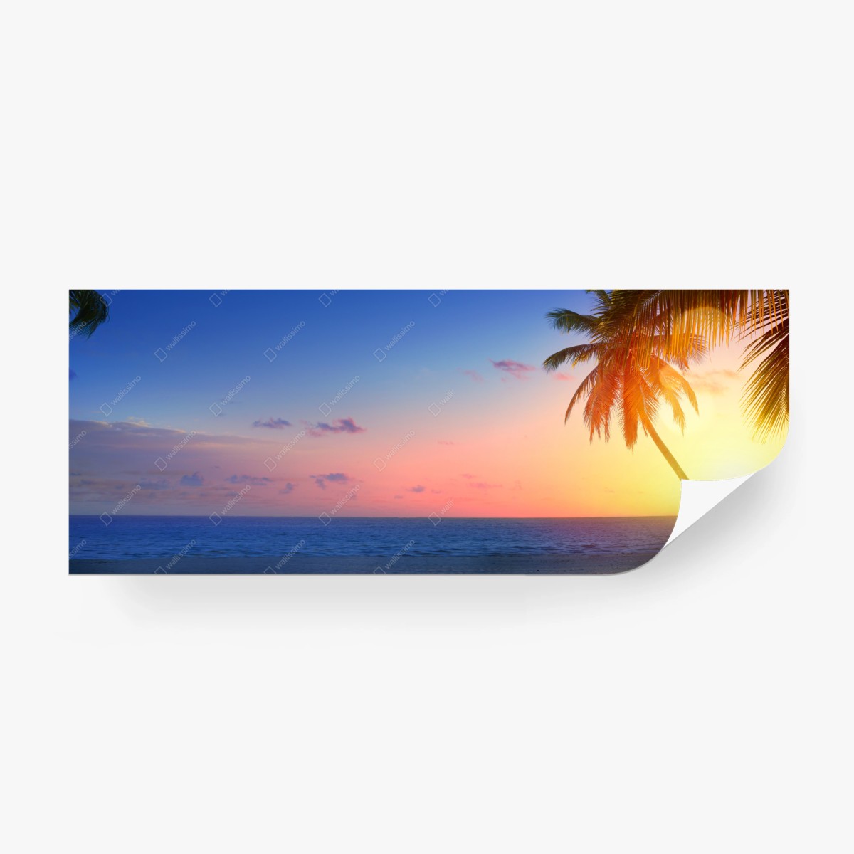 Fototapete tropischer sonnenaufgang am strand – Wallnifity® Fototapete tropischer sonnenaufgang am strand – Wallnifity®