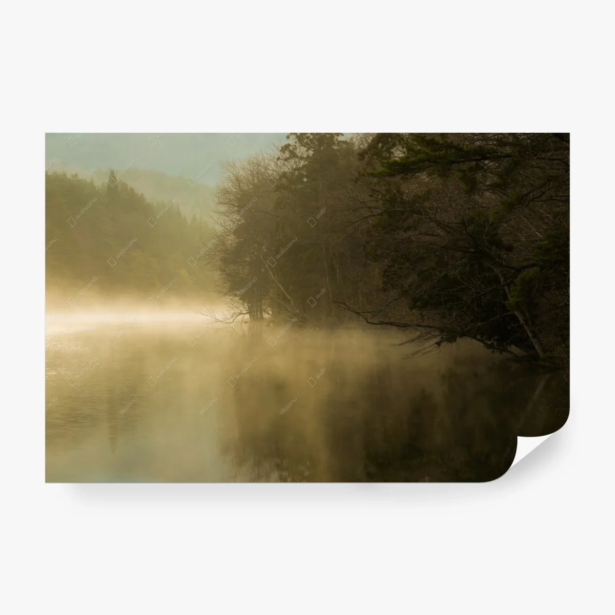 Fototapete nebliges seeufer am morgen – Wallnifity®