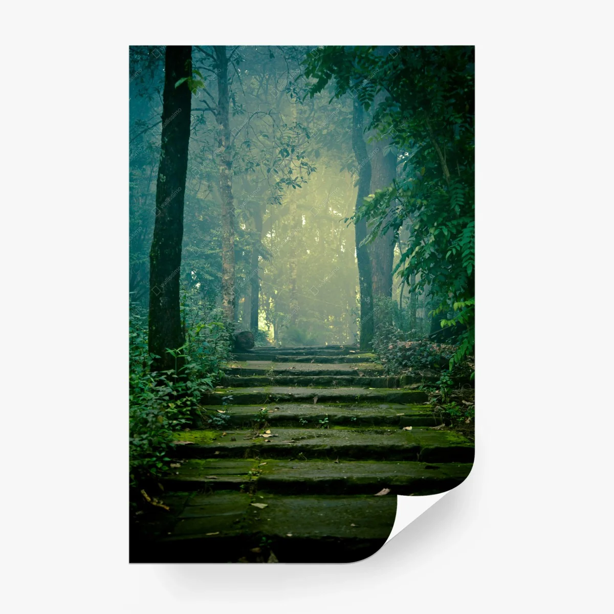 Fototapete moosbedeckte steintreppe in den nebligen wald – Wallnifity® Fototapete moosbedeckte steintreppe in den nebligen wald – Wallnifity®