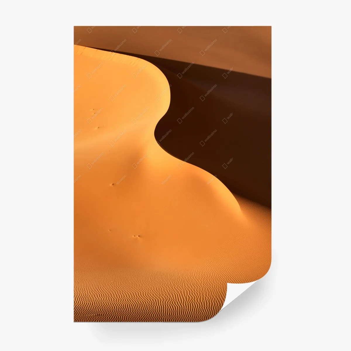 Fototapete goldene dünenkurven – Wallnifity®