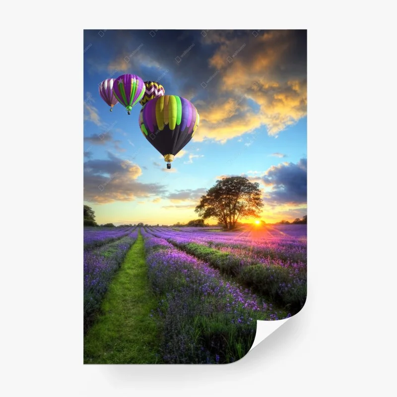 Wiesen – Wallnifity®