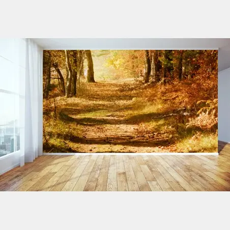 Fototapete herbstlicher waldweg mit goldenem licht – Wallnifity®