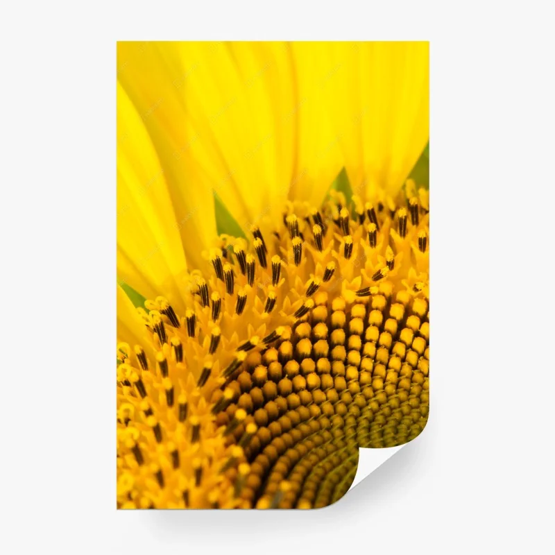 Blumen – Wallnifity®
