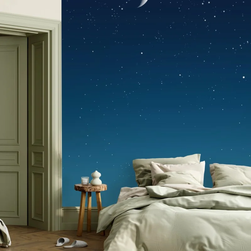 Mond – Wallnifity®