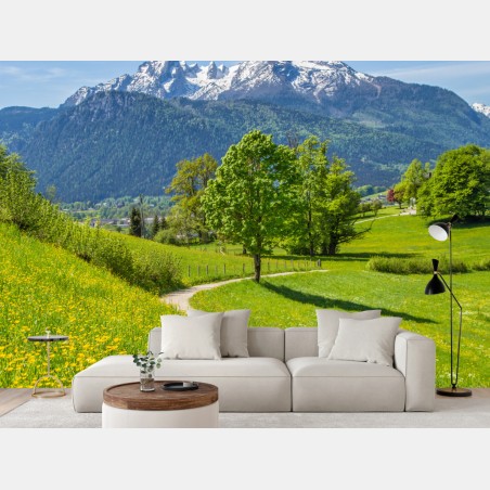 Fototapete alpenwiese und bergpfad – Wallnifity®