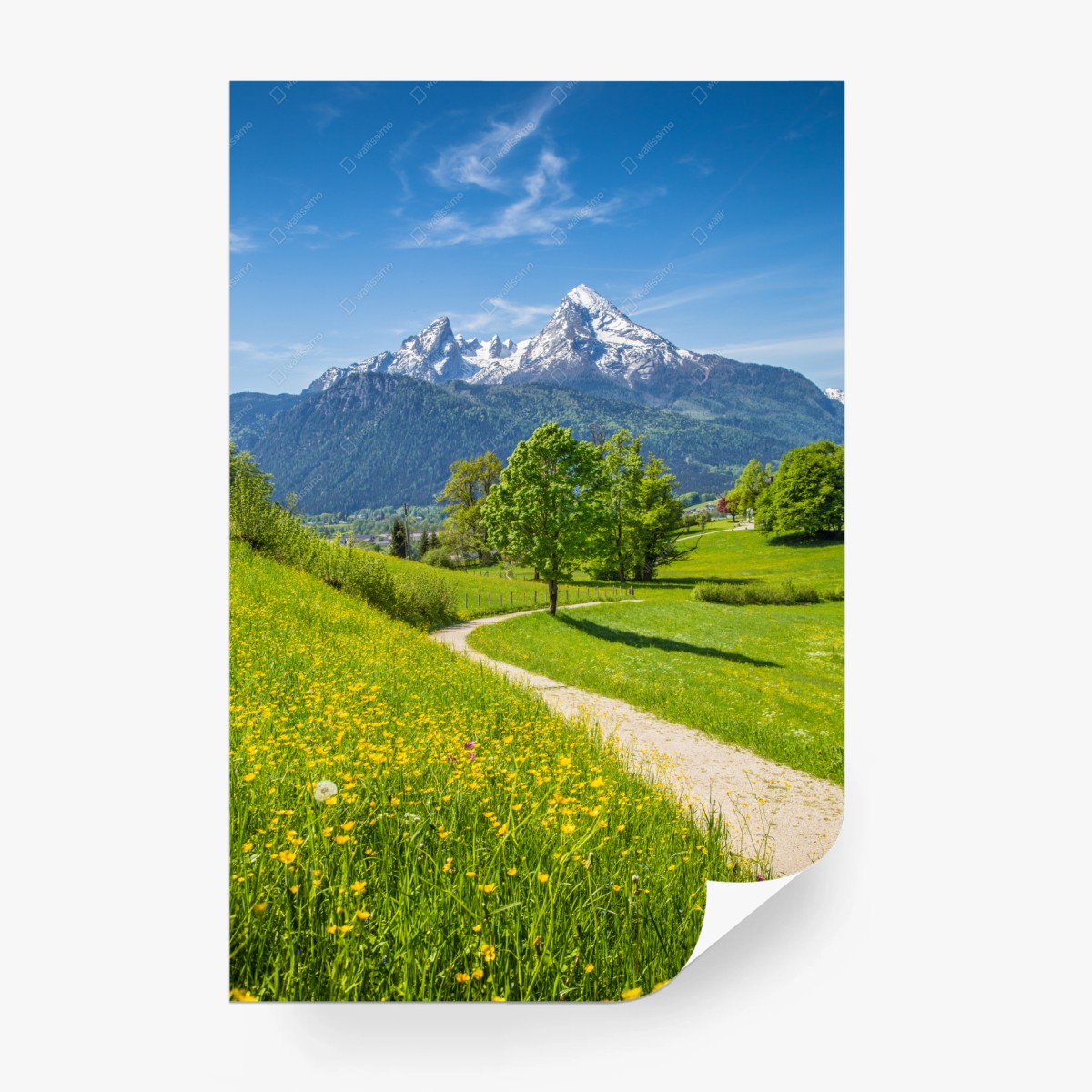 Fototapete alpenwiese und bergpfad – Wallnifity®