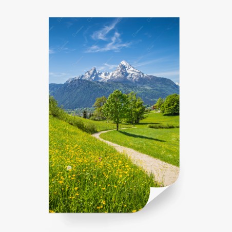 Fototapete alpenwiese und bergpfad – Wallnifity®