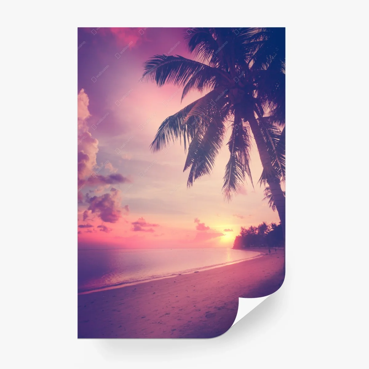 Fototapete tropischer sonnenuntergang am strand – Wallnifity® Fototapete tropischer sonnenuntergang am strand – Wallnifity®