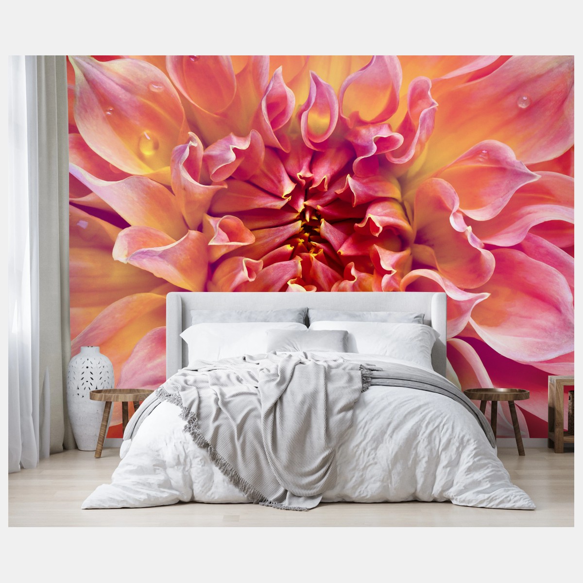 Fototapete rosa dahlie nahaufnahme – Wallnifity®