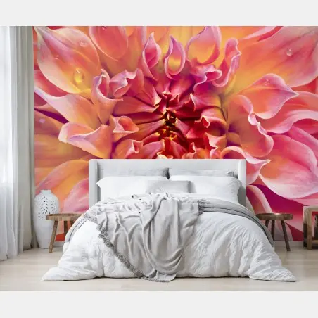 Fototapete rosa dahlie nahaufnahme – Wallnifity®