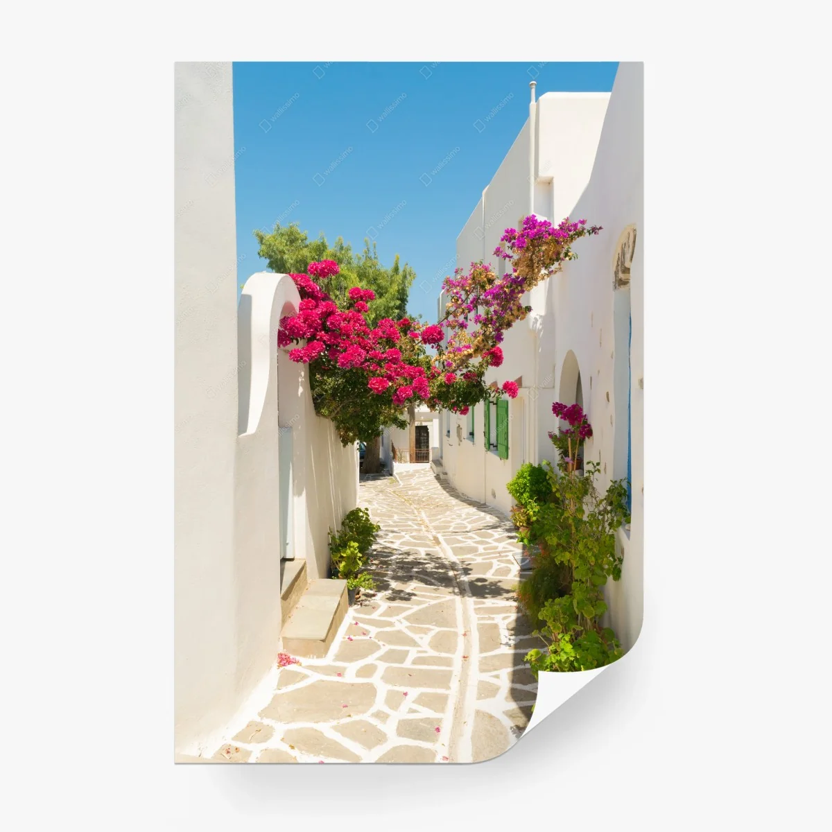 Fototapete sonnige mediterrane gasse mit bougainvillea – Wallnifity®