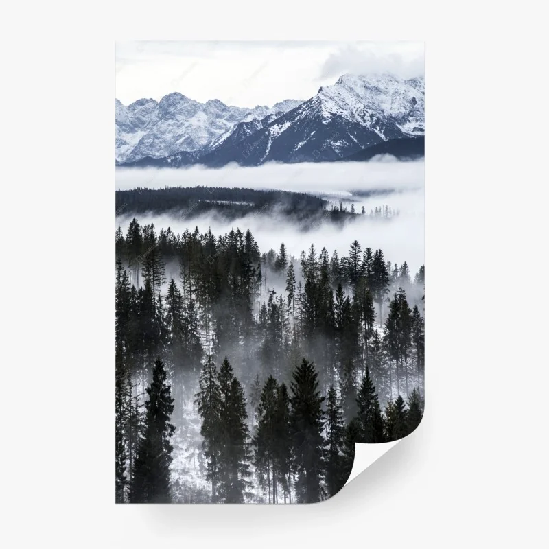 Skandinavisch – Wallnifity®