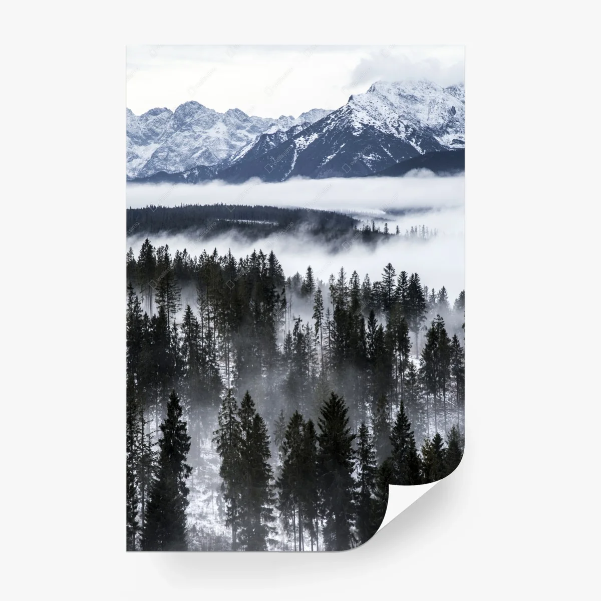 Fototapete Tatra im winternebel – Wallnifity®