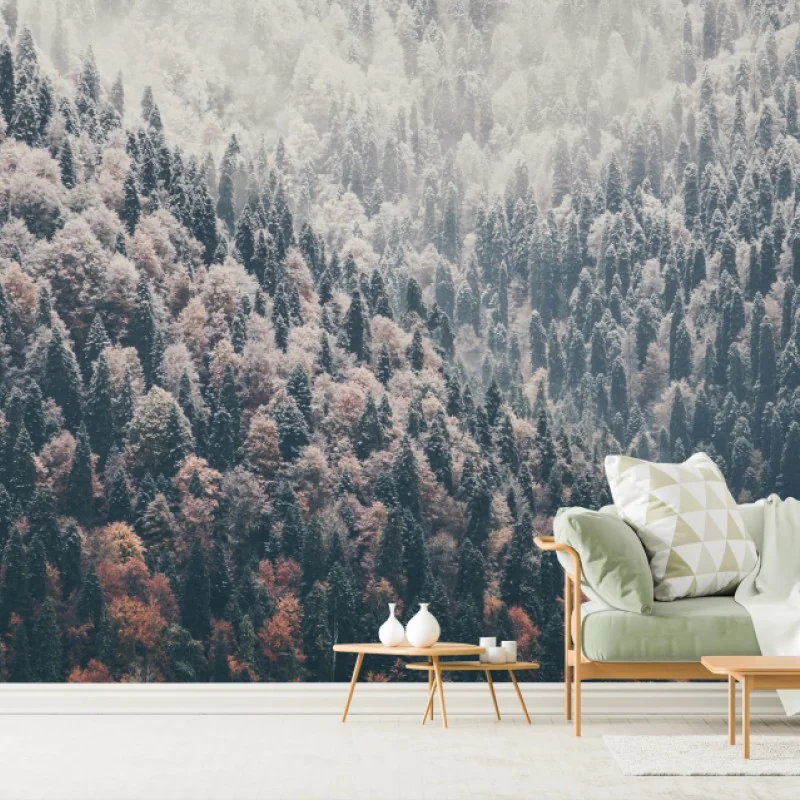 Fototapete herbstlicher nebel über bergwald – Wallnifity®