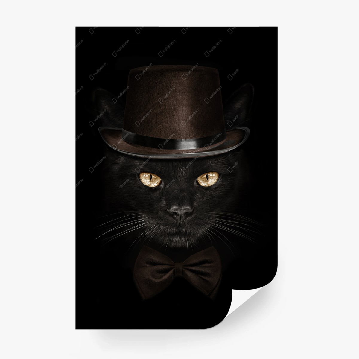 Fototapete elegante schwarze katze mit zylinder und fliege – Wallnifity®
