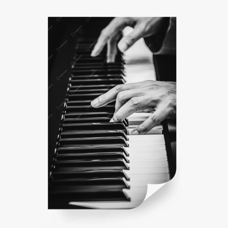 Kultur und Unterhaltung – Wallnifity®