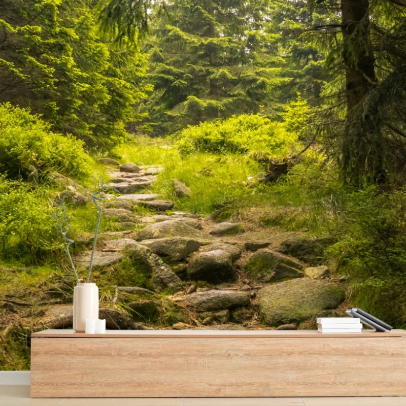 Wälder – Wallnifity®