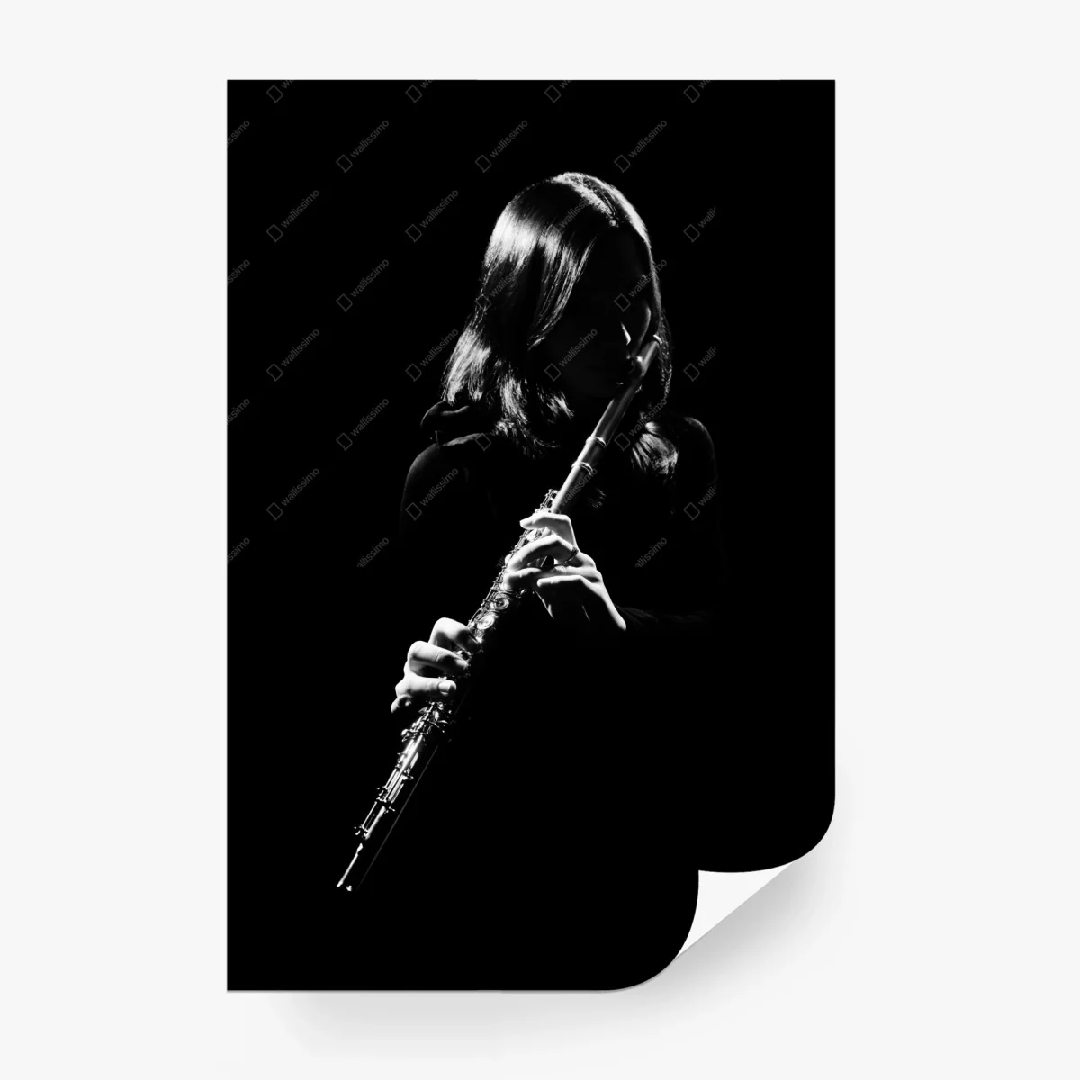 Fototapete elegante flötensilhouette – Wallnifity®