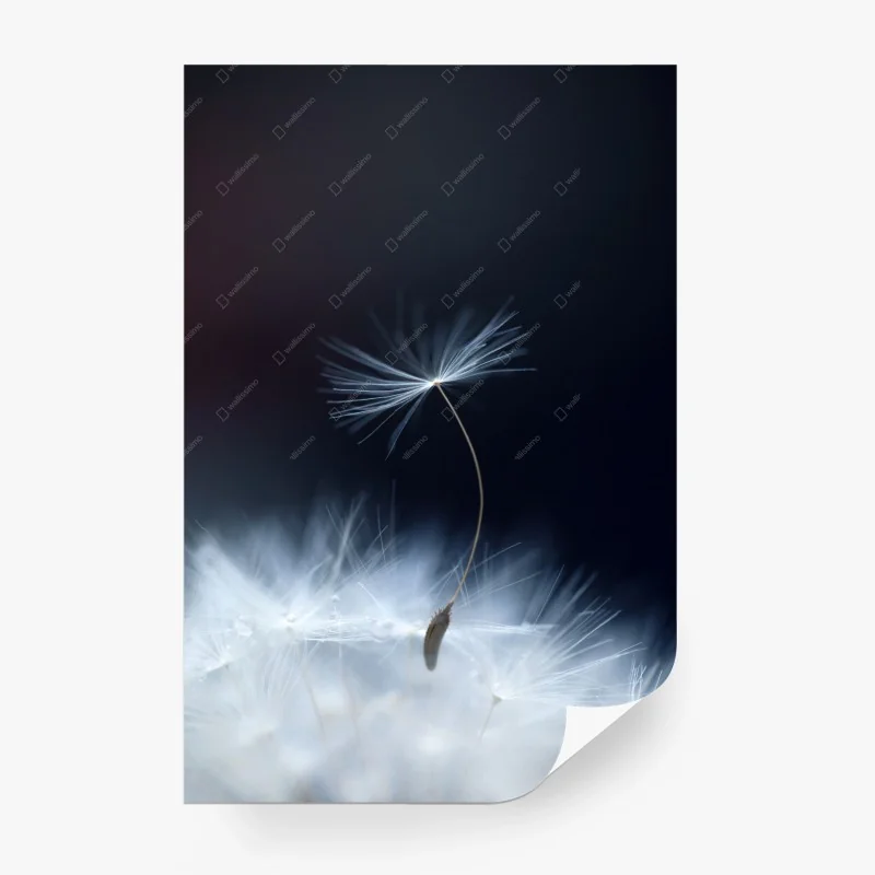 Minimalistisch – Wallnifity®