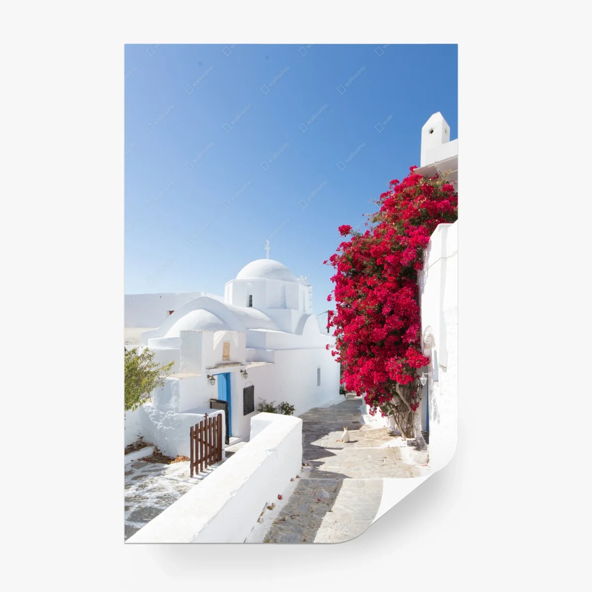 Fototapete sonnige gasse auf der insel mit leuchtender buganvillea – Wallnifity®