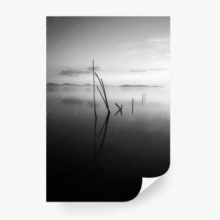 Fototapete ruhiger monochromer see mit reflexionen – Wallnifity®