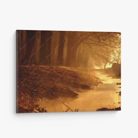 Leinwandbild goldener bach im nebligen wald am morgen – Wallnifity®