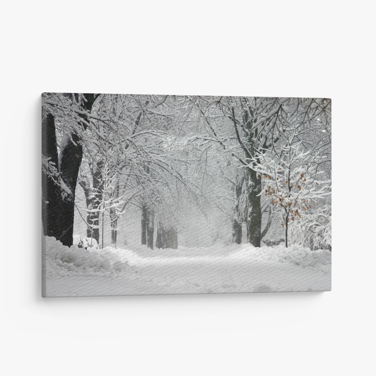 Leinwandbild ruhiger winterwaldweg – Wallnifity®