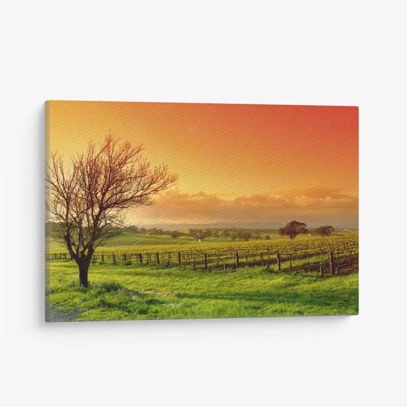 Minimalistisch – Wallnifity®