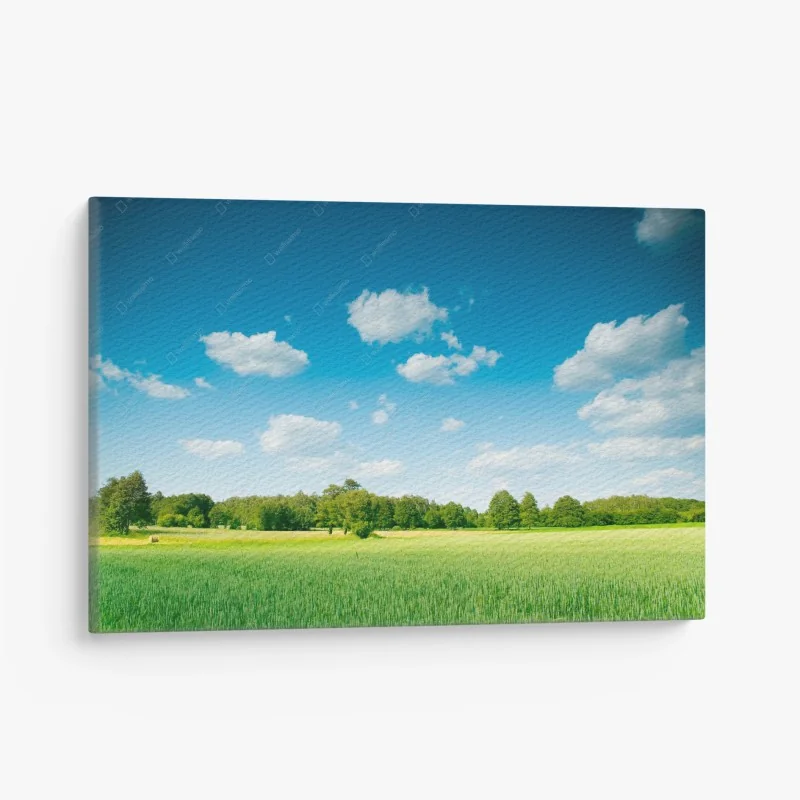 Leinwandbild sonnige sommerwiese unter klarem blauem himmel – Wallnifity® Leinwandbild sonnige sommerwiese unter klarem blauem himmel – Wallnifity®