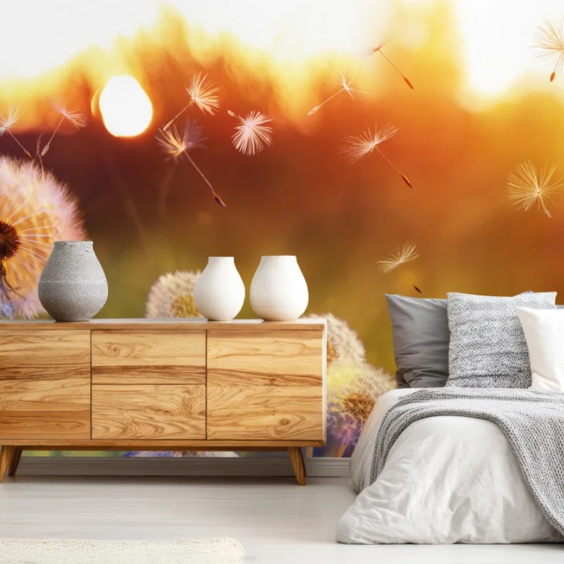 Wiesen – Wallnifity®