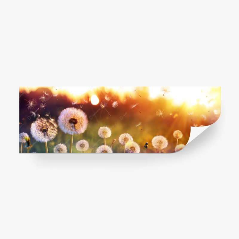 Schlafzimmer – Wallnifity®
