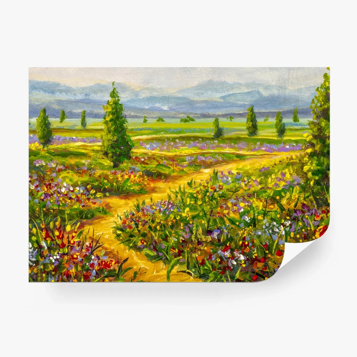 Fototapete sonnige wiese mit wildblumen – Wallnifity®