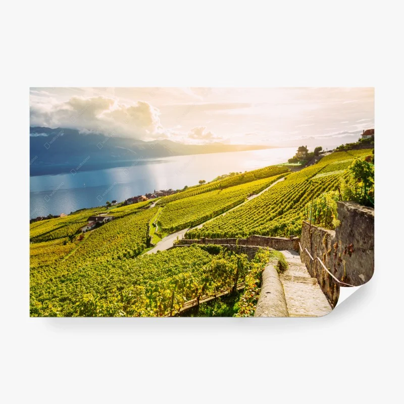 Flüsse & Seen – Wallnifity®