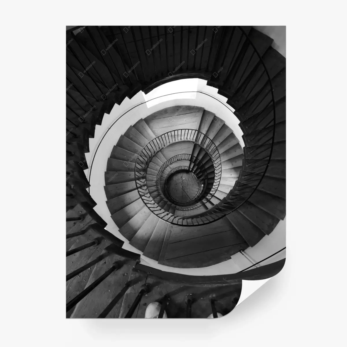 Fototapete monochrome spiraltreppe geometrie – Wallnifity®