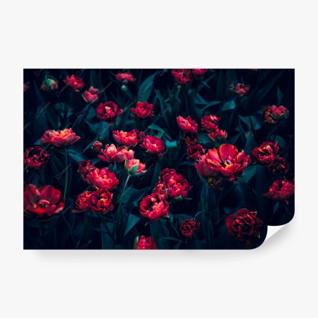 Fototapete mystischer garten roter tulpen – Wallnifity®