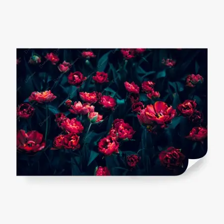 Fototapete mystischer garten roter tulpen – Wallnifity®