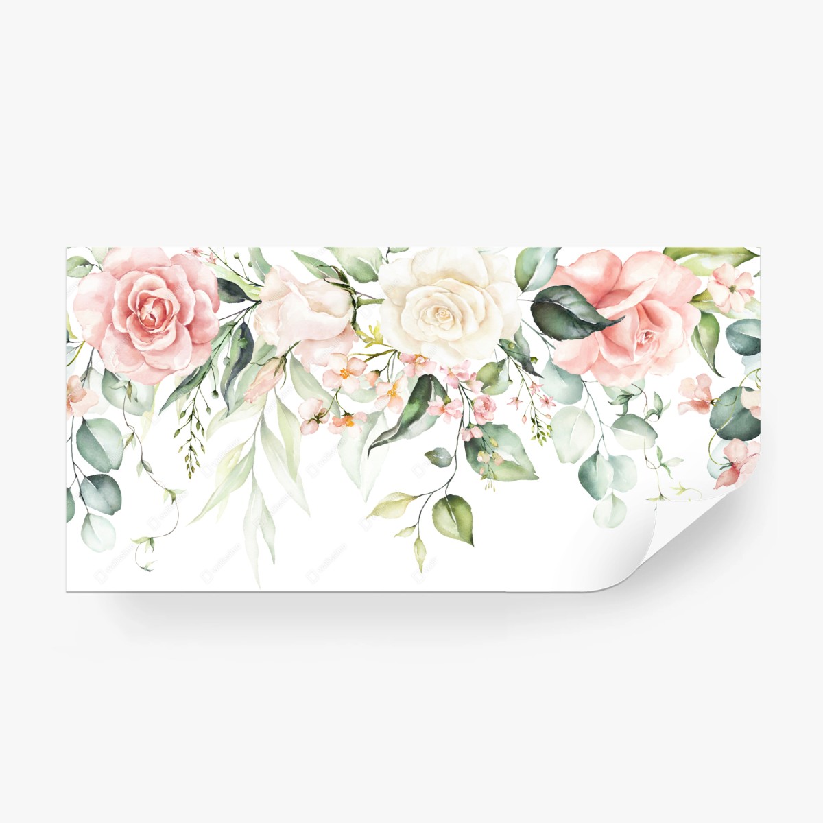 Fototapete zarte aquarellrosen mit eukalyptus – Wallnifity®