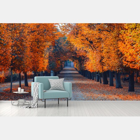 Fototapete herbstallee mit orangefarbenen bäumen – Wallnifity®
