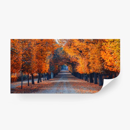Fototapete herbstallee mit orangefarbenen bäumen – Wallnifity®