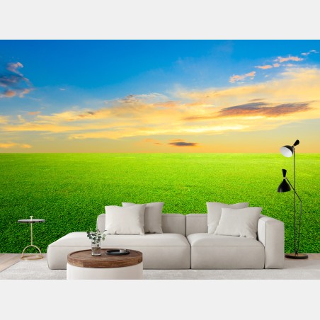 Fototapete sonnenuntergang über grüner wiese – Wallnifity®