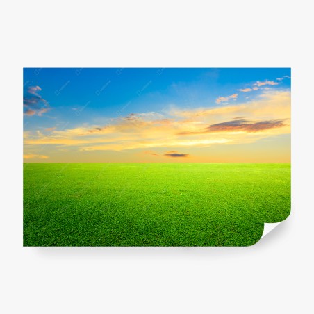 Fototapete sonnenuntergang über grüner wiese – Wallnifity®