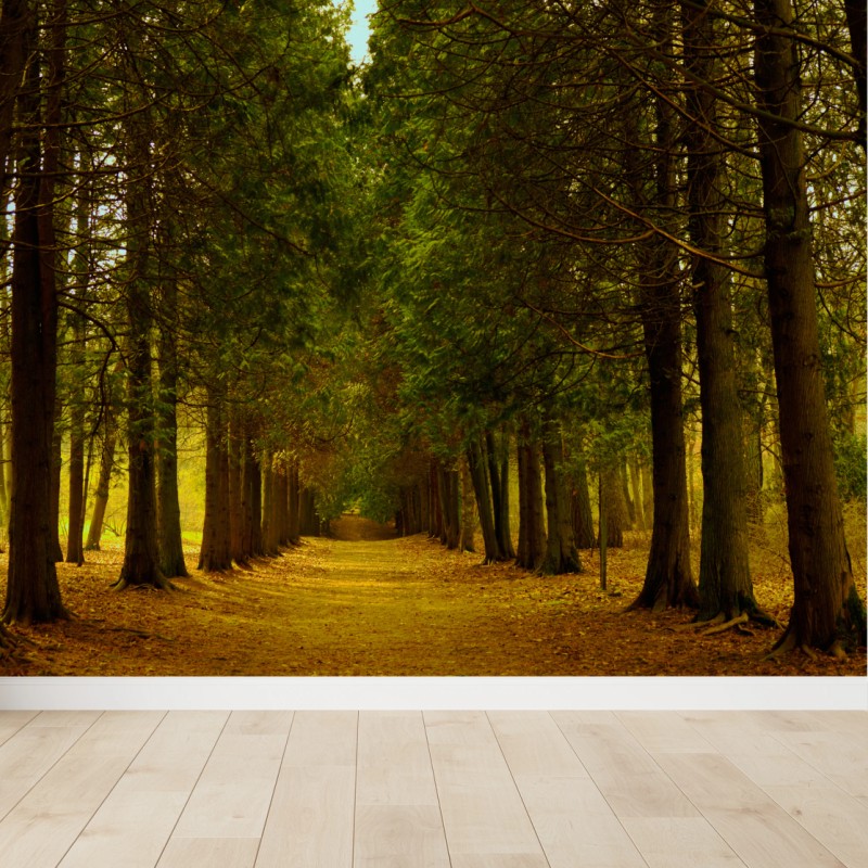 Flur – Wallnifity®