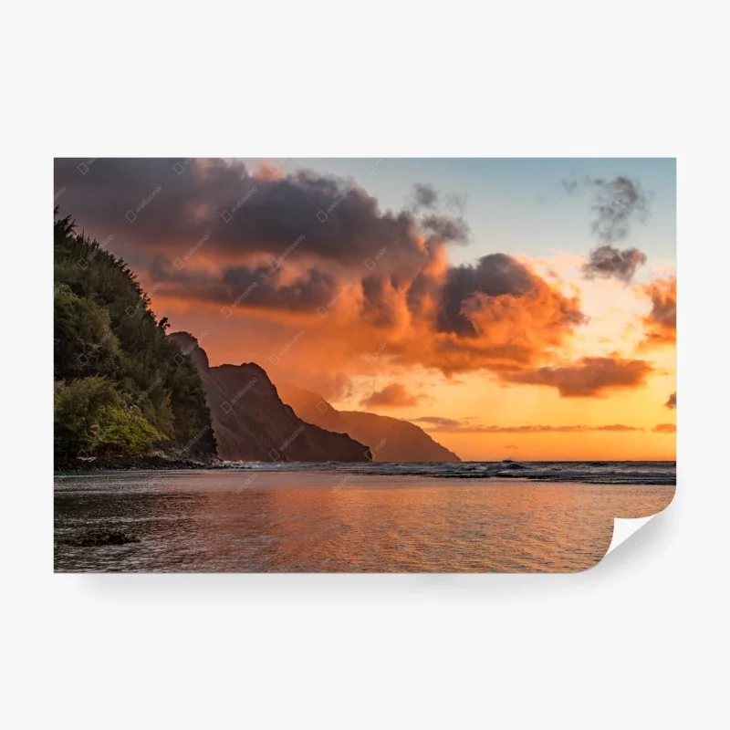 Strand – Wallnifity®