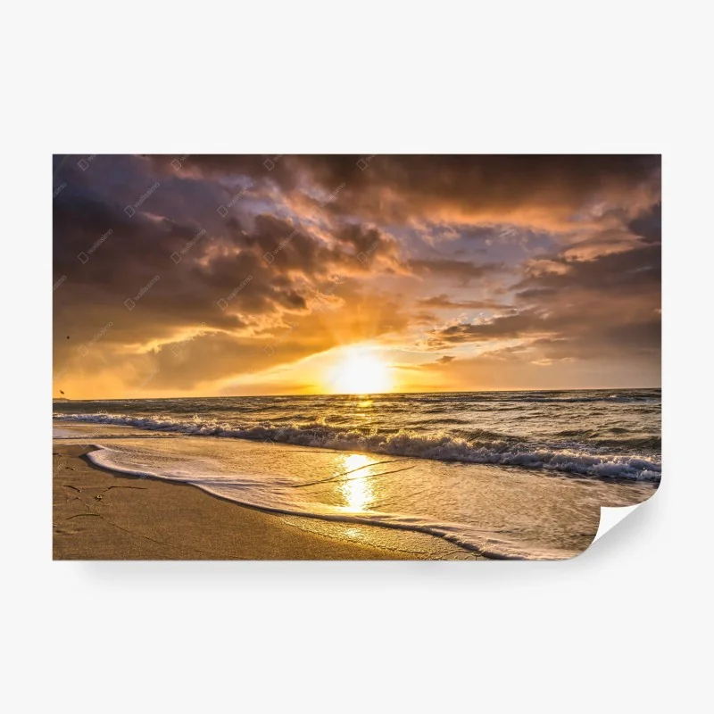Strand – Wallnifity®