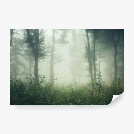 Fototapete nebliger wald am morgen – Wallnifity®